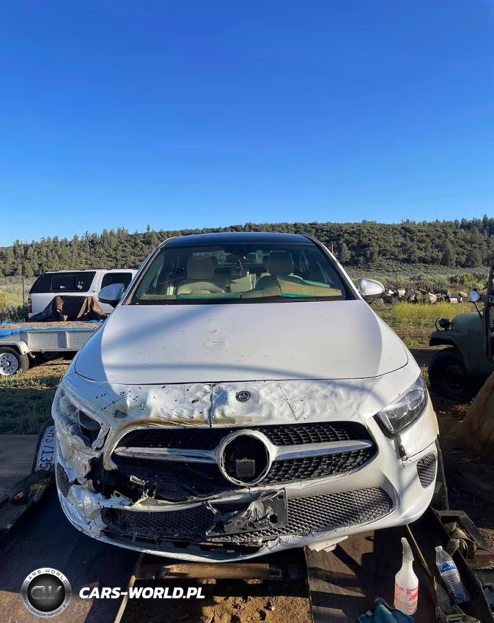 2020 Mercedes-Benz A 220 VIN:WDD3G4EB9LW038571 - 2