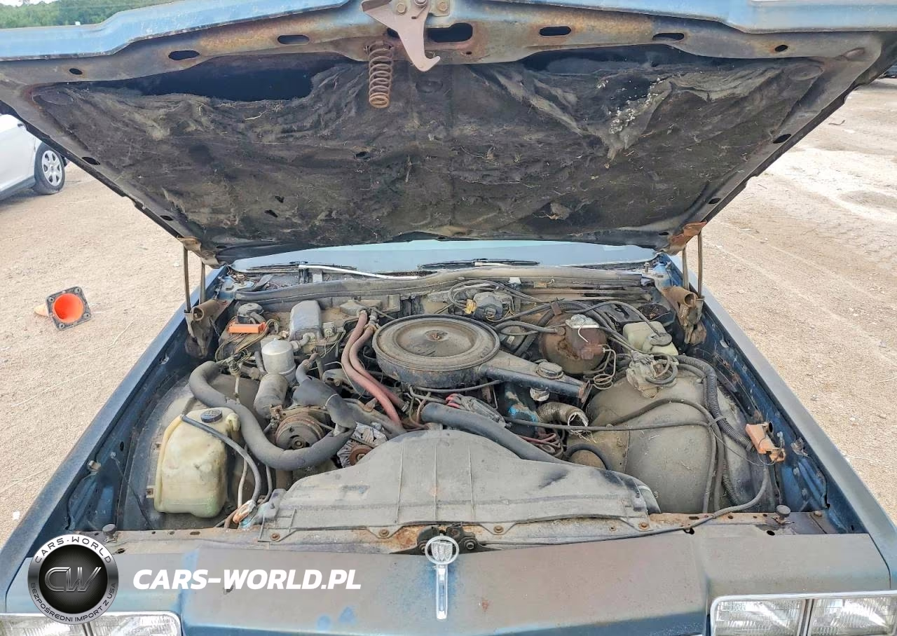 1977 Buick 2Dr Specia VIN:4P37H7X172264 - 11