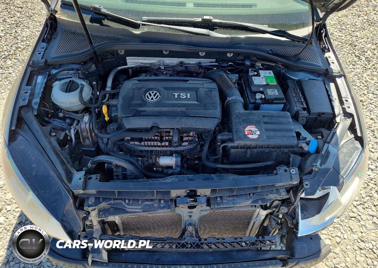 2017 Volkswagen Golf Sportwagen S VIN:3VW017AUXHM538122 - 11
