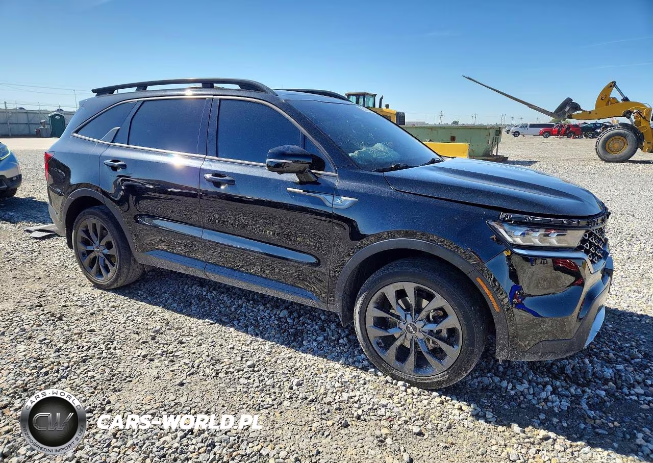 2023 Kia Sorento X-Line Sx Prestige VIN:5XYRKDLF3PG229446 - 4