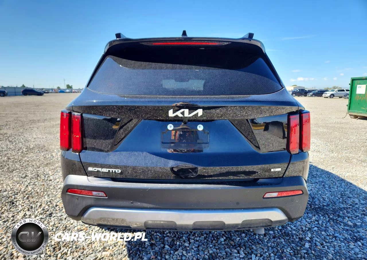 2023 Kia Sorento X-Line Sx Prestige VIN:5XYRKDLF3PG229446 - 6