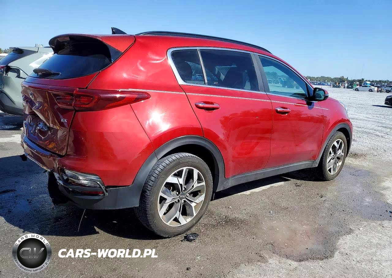 2022 Kia Sportage Ex VIN:KNDPN3AC9N7962130 - 3
