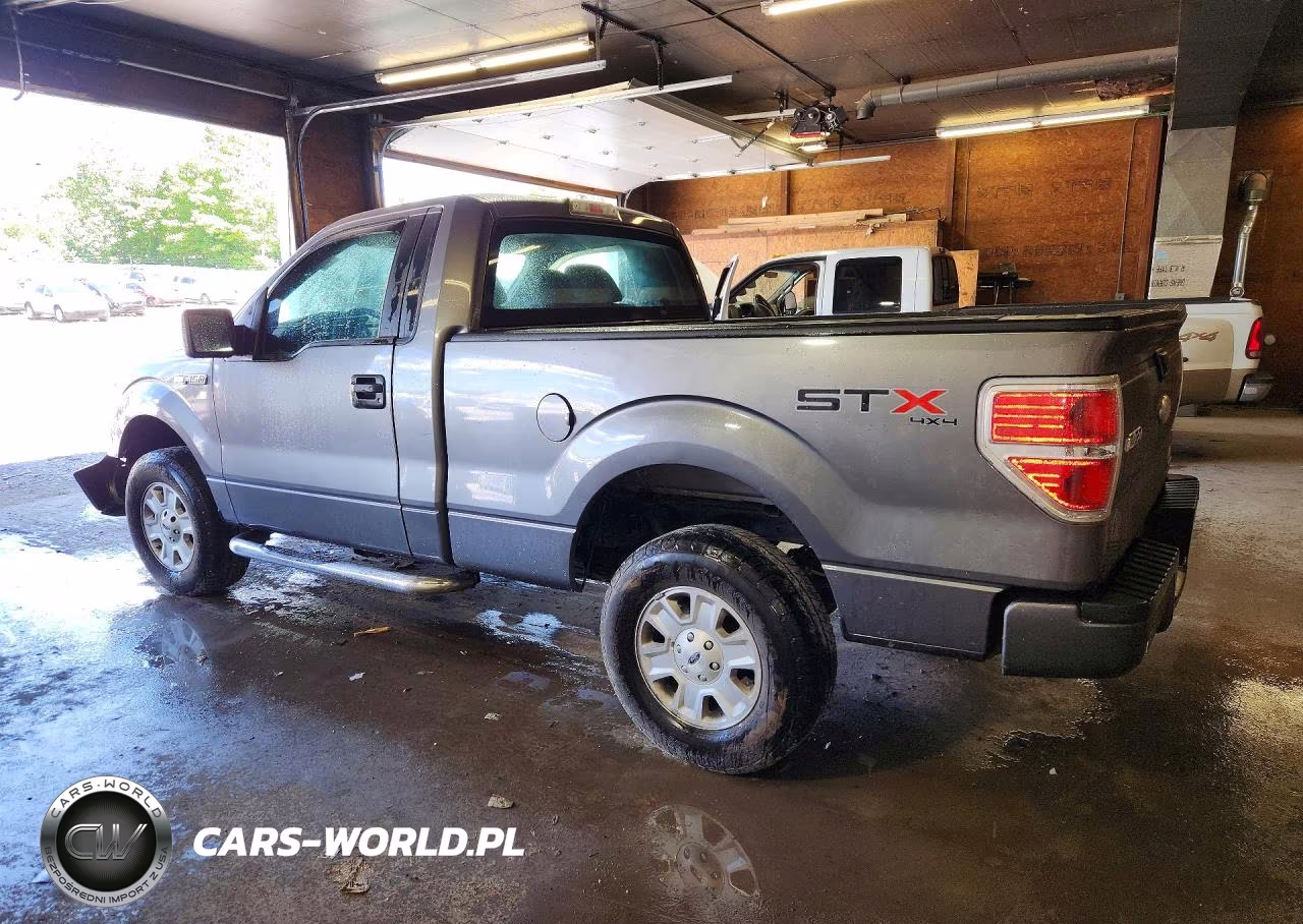 2011 Ford F150 VIN:1FTMF1EM8BFA99118 - 2