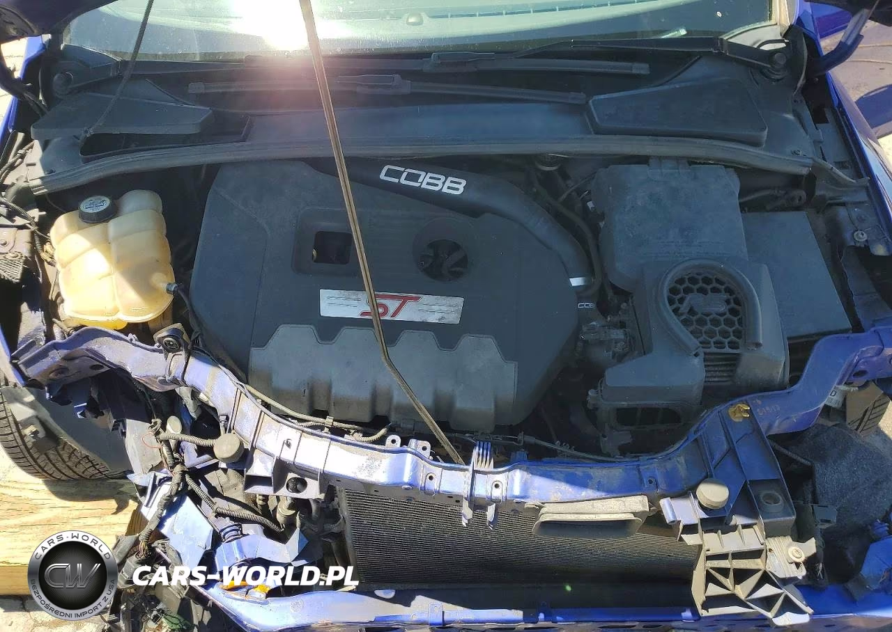 2013 Ford Focus St VIN:1FADP3L96DL250913 - 12