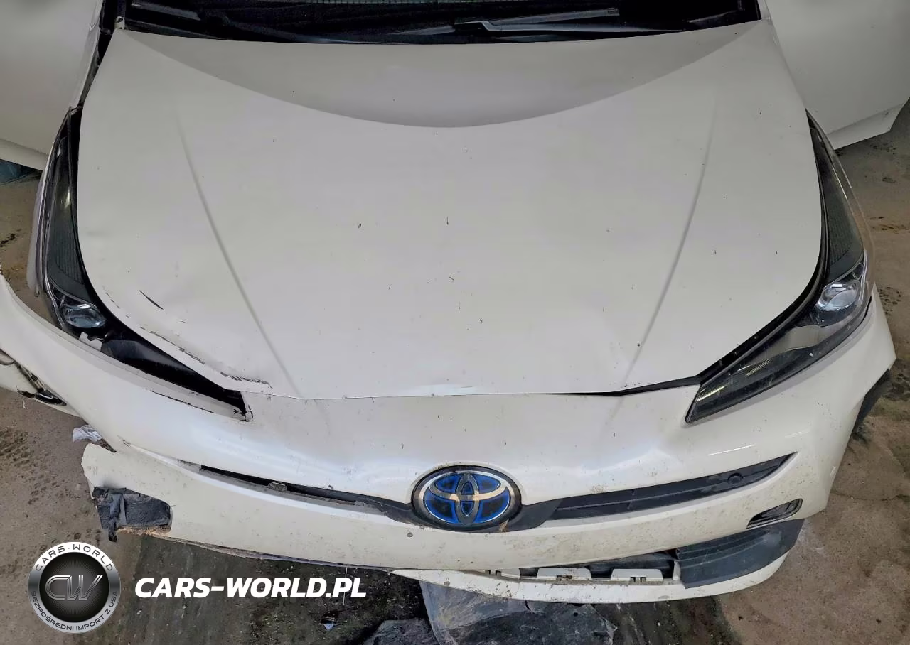 2019 Toyota Prius VIN:JTDKARFU8K3068696 - 11