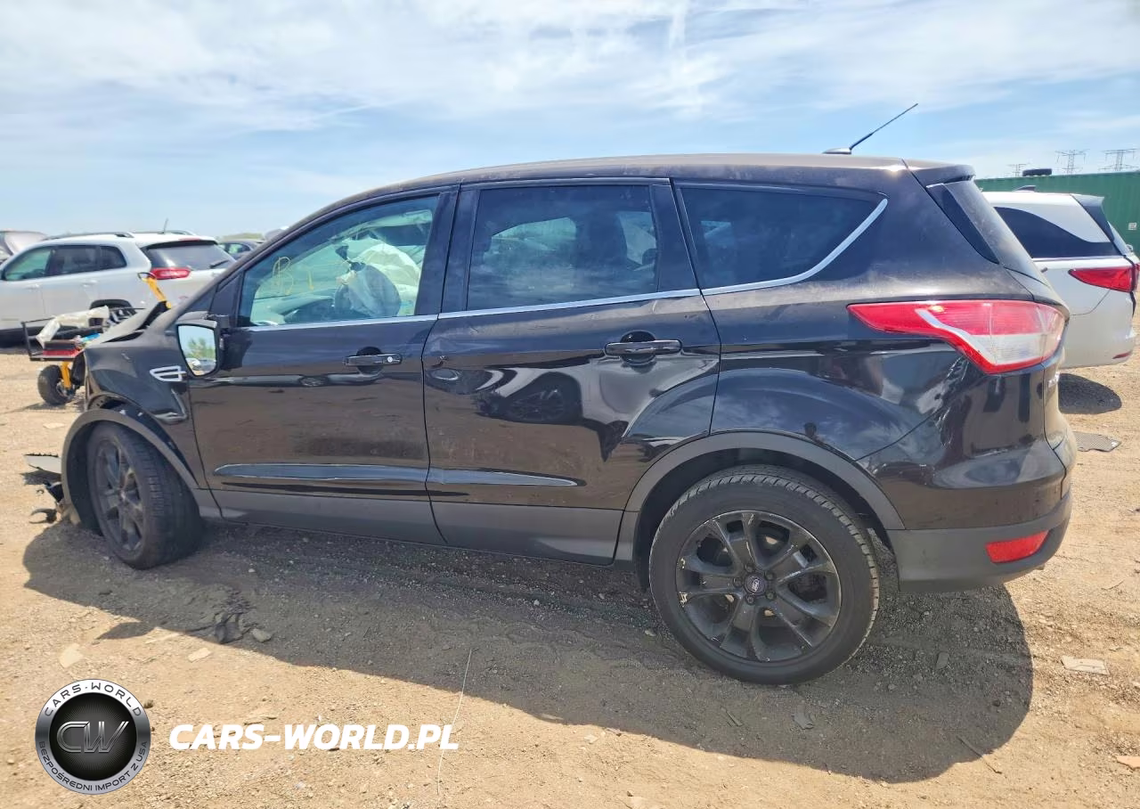 2013 Ford Escape Sel VIN:1FMCU0HX6DUC43955 - 2