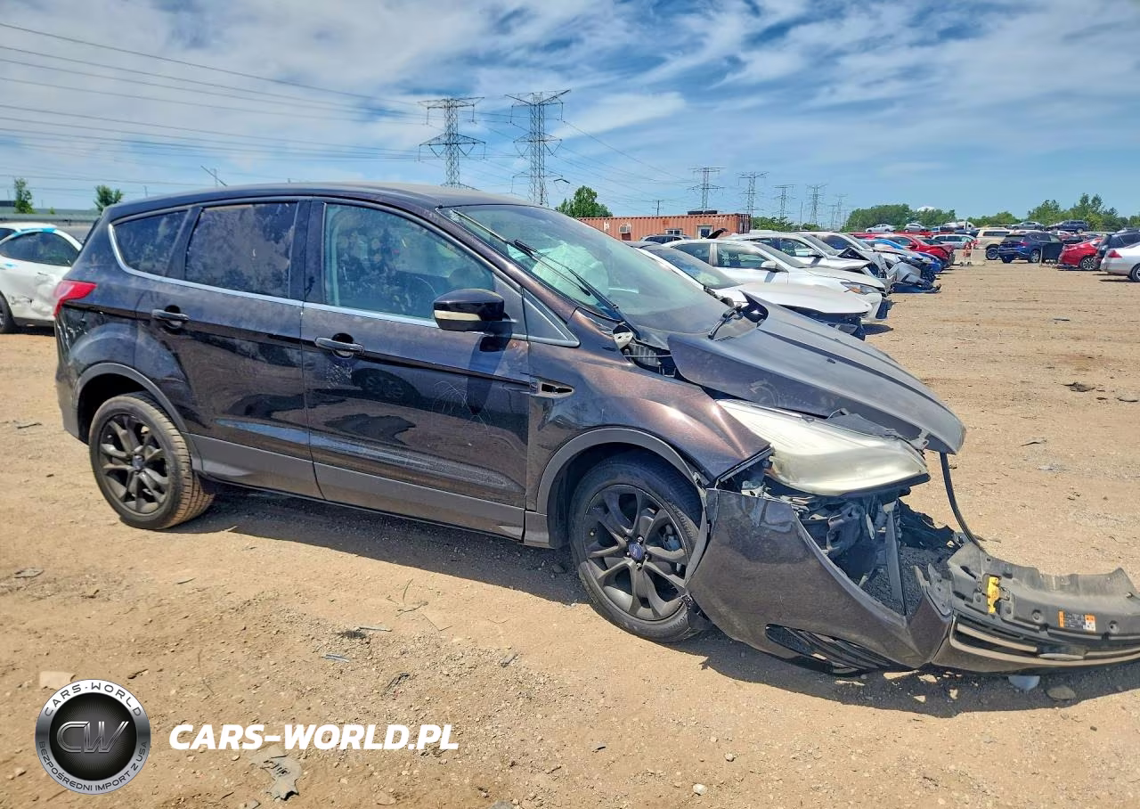 2013 Ford Escape Sel VIN:1FMCU0HX6DUC43955 - 4