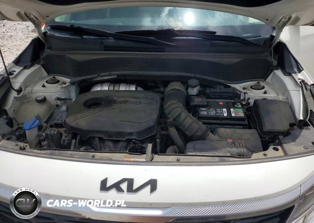 2023 Kia Seltos Sx VIN:KNDETCA20P7354780 - 12