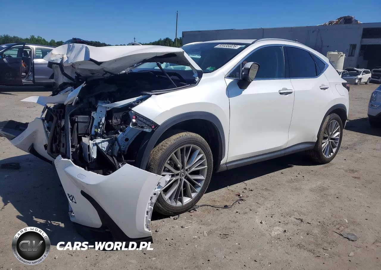 2024 Lexus Nx 350H Luxury – zdjęcie 1 z 13