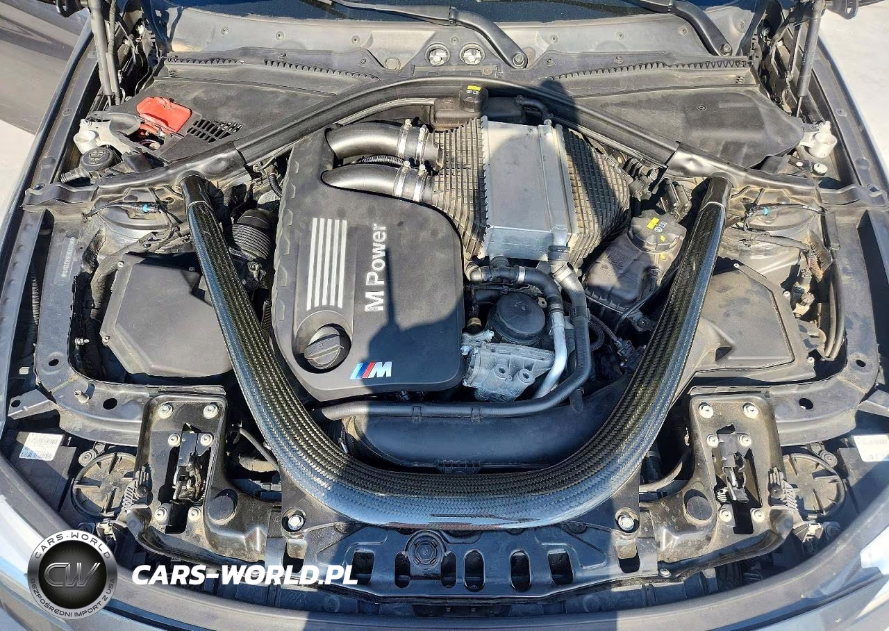 2016 BMW M4 VIN:WBS3R9C58GK338414 - 11