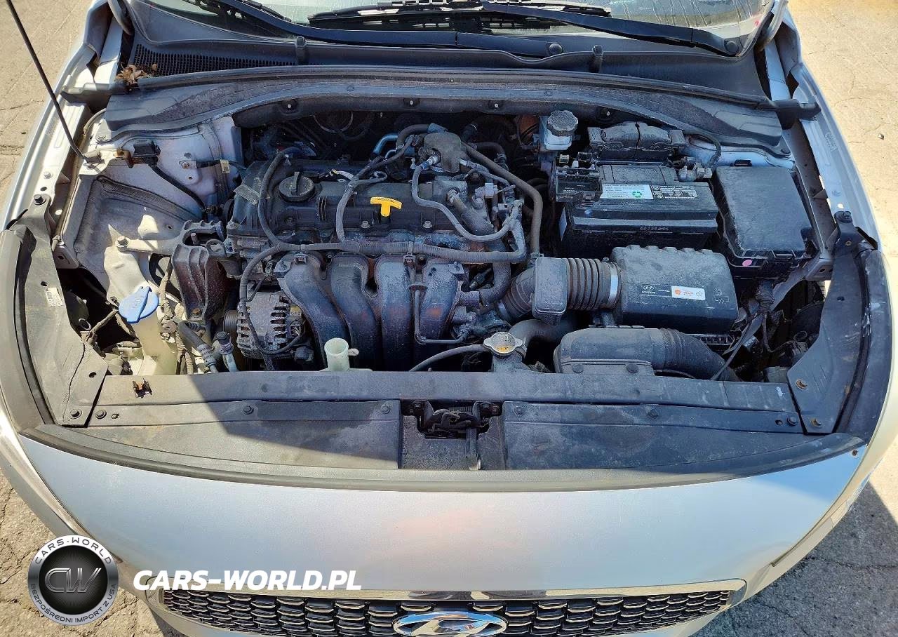 2019 Hyundai Elantra Gt Base VIN:KMHH35LE5KU098769 - 11