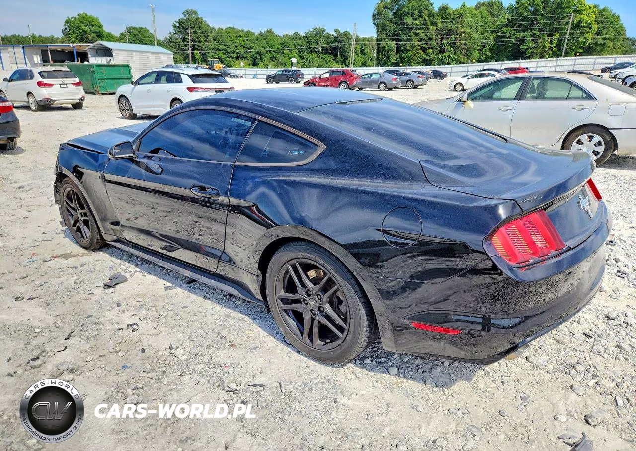 2015 Ford Mustang VIN:1FA6P8AM8F5348538 - 2