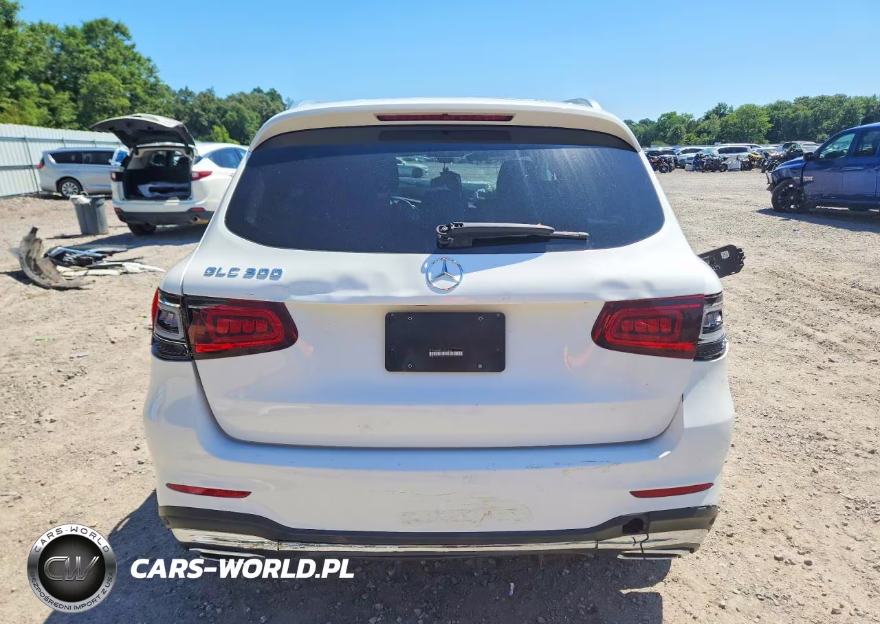 2020 Mercedes-Benz Glc 300 VIN:W1N0G8DB1LF774449 - 6