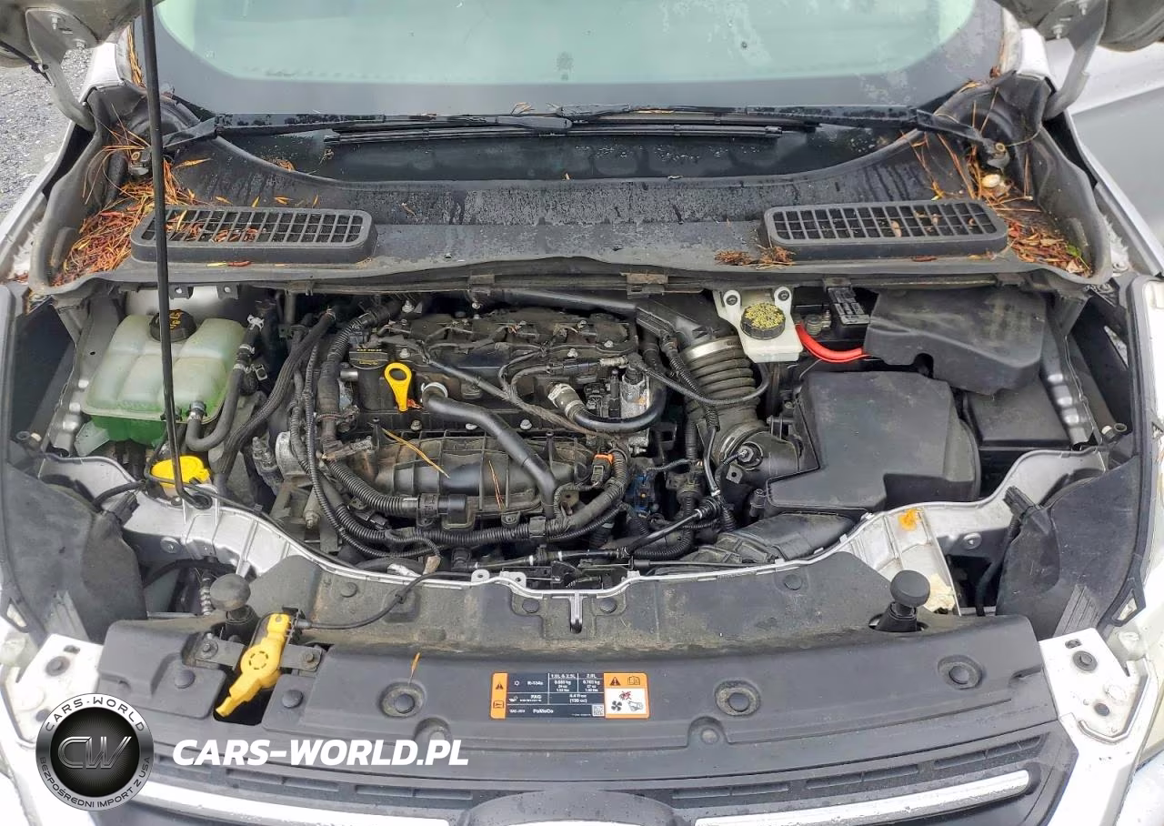 2014 Ford Escape Se VIN:1FMCU9GX5EUC35658 - 12