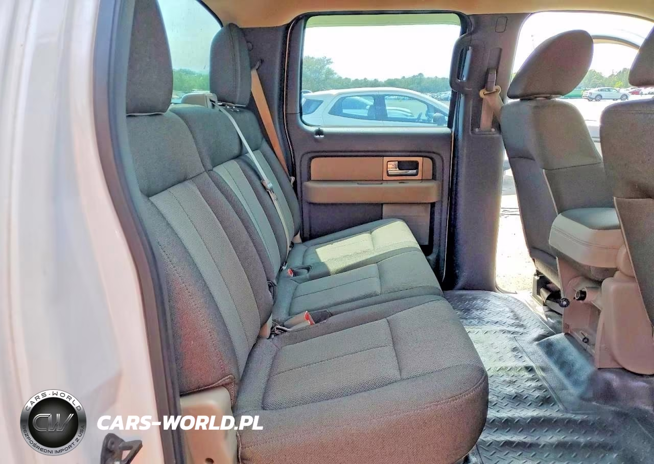 2010 Ford F150 Supercrew VIN:1FTEW1CW9AFA70766 - 10
