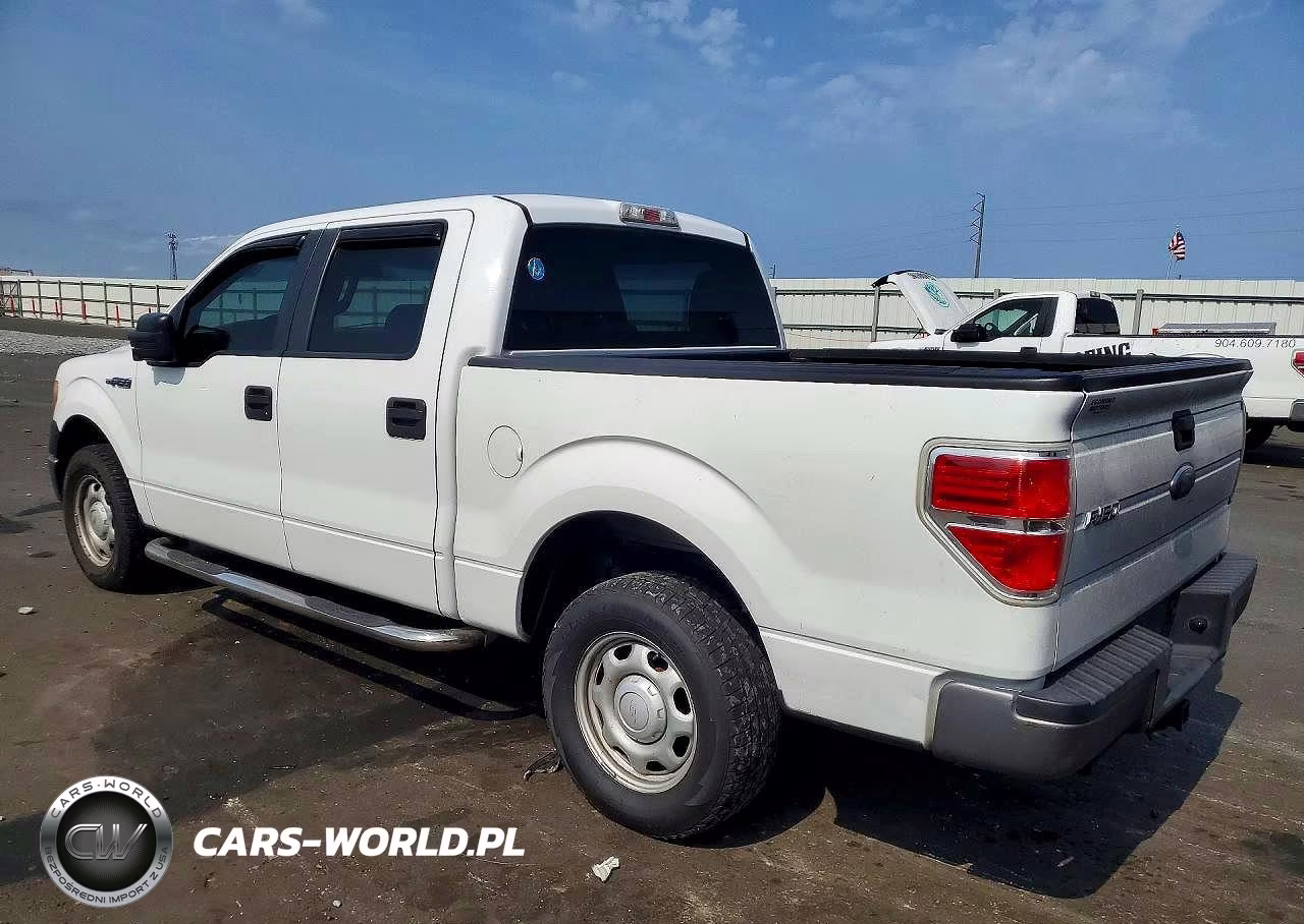 2010 Ford F150 Supercrew VIN:1FTEW1CW9AFA70766 - 2