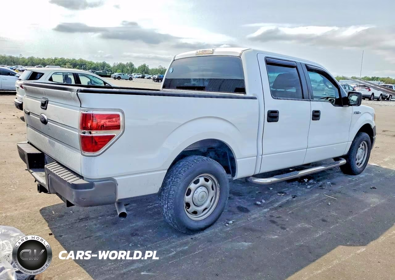 2010 Ford F150 Supercrew VIN:1FTEW1CW9AFA70766 - 3