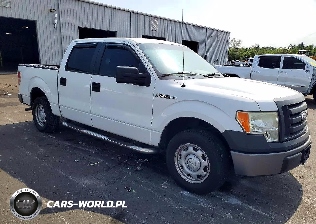 2010 Ford F150 Supercrew VIN:1FTEW1CW9AFA70766 - 4