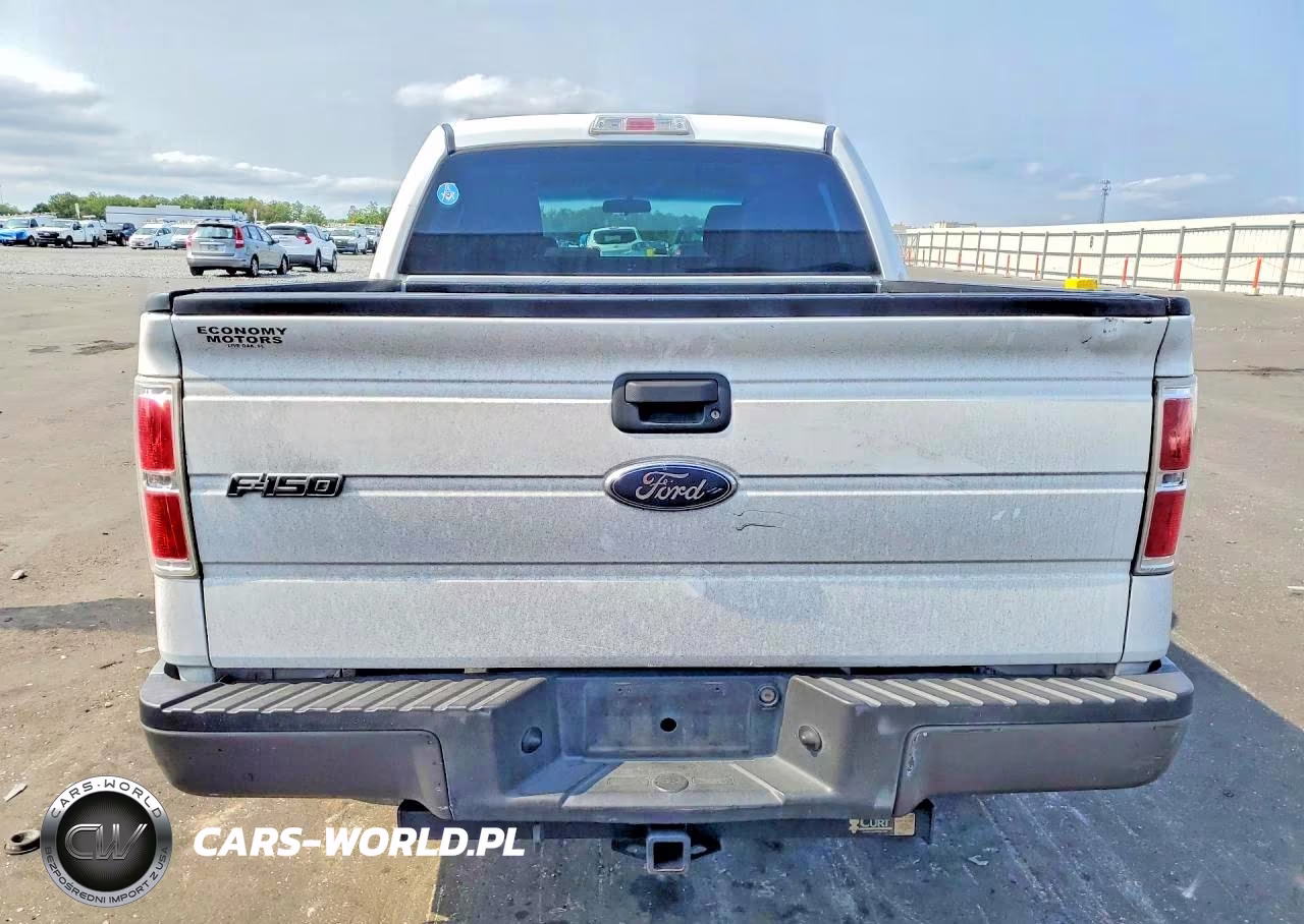 2010 Ford F150 Supercrew VIN:1FTEW1CW9AFA70766 - 6