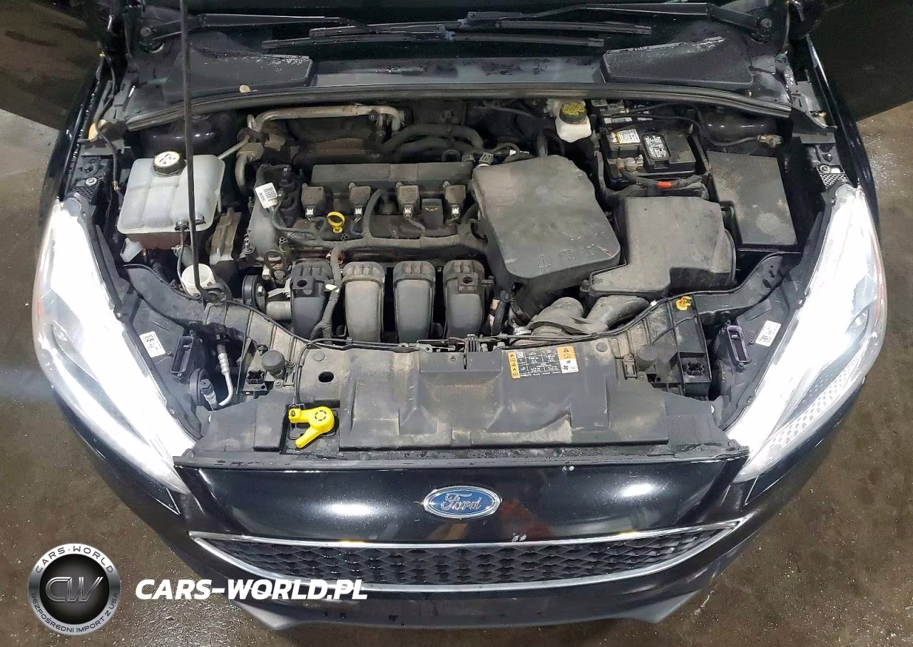 2018 Ford Focus Se VIN:1FADP3F2XJL211297 - 11