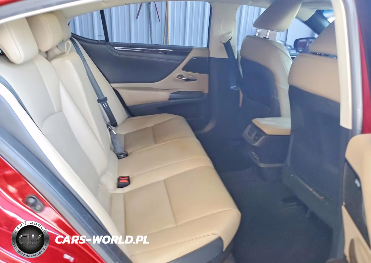 2020 Lexus Es 300H VIN:58AD21B16LU004756 - 10