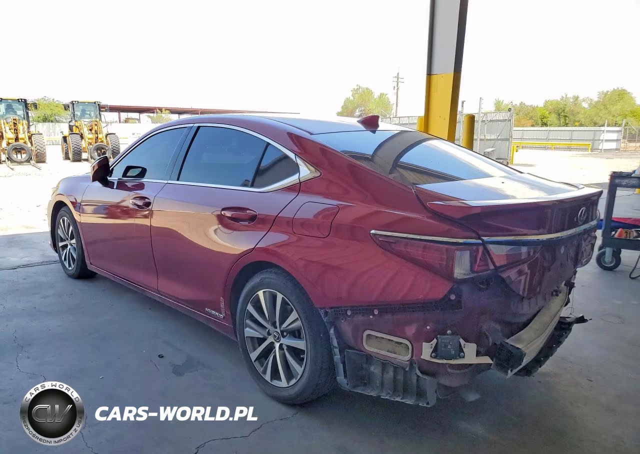 2020 Lexus Es 300H VIN:58AD21B16LU004756 - 2