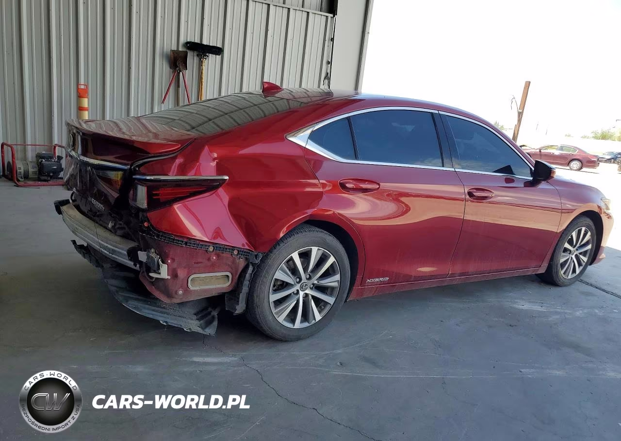 2020 Lexus Es 300H VIN:58AD21B16LU004756 - 3