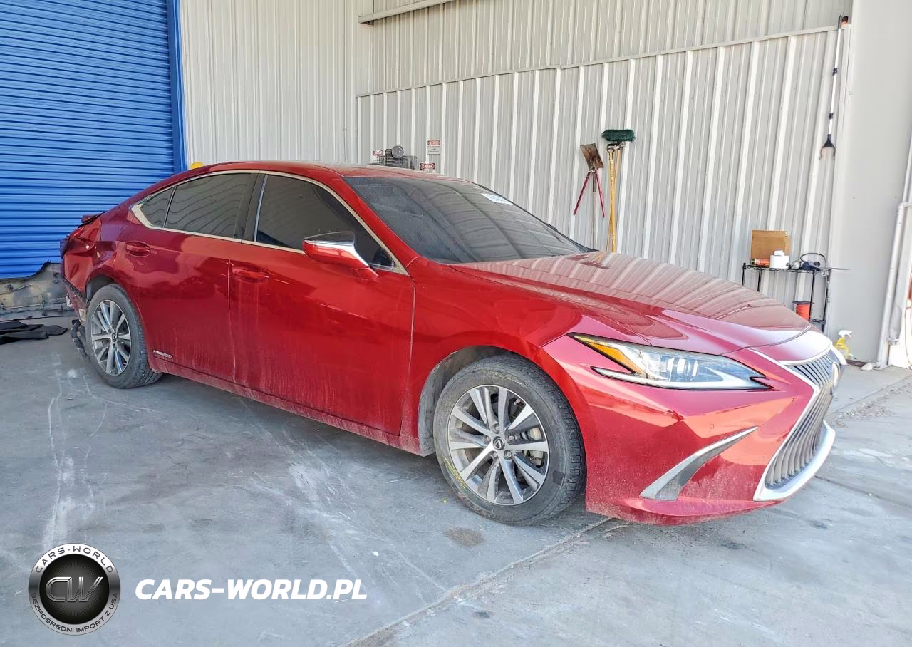 2020 Lexus Es 300H VIN:58AD21B16LU004756 - 4