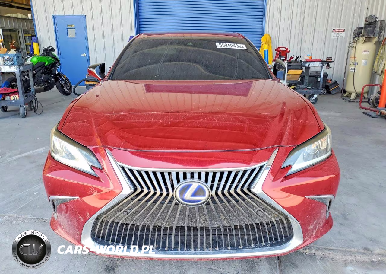 2020 Lexus Es 300H VIN:58AD21B16LU004756 - 5