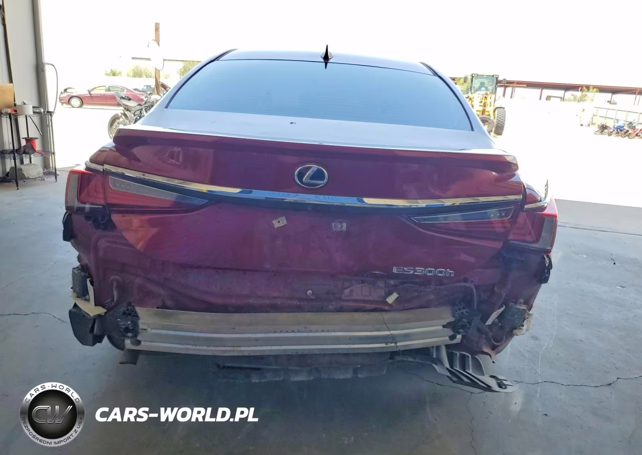 2020 Lexus Es 300H VIN:58AD21B16LU004756 - 6