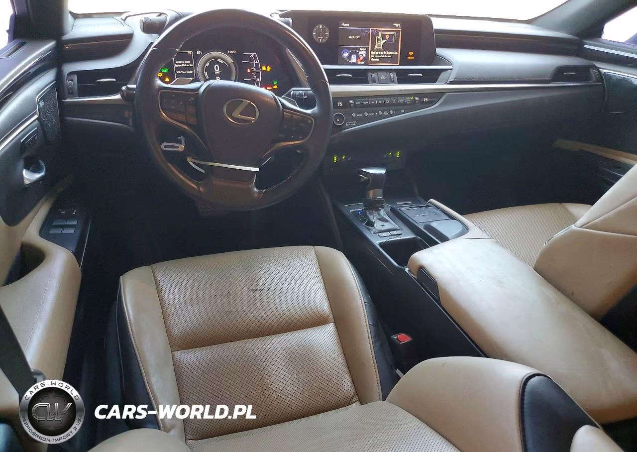 2020 Lexus Es 300H VIN:58AD21B16LU004756 - 8