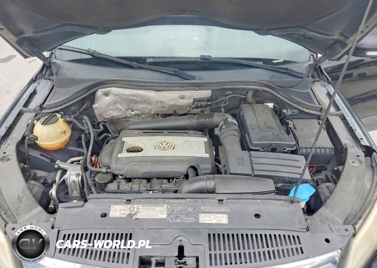 2011 Volkswagen Tiguan S VIN:WVGBV7AX8BW542182 - 12