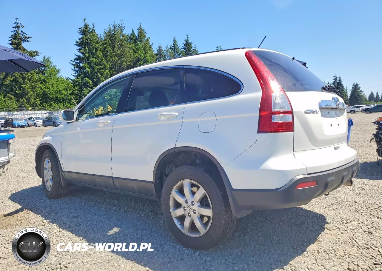 2007 Honda Cr-V Exl VIN:JHLRE487X7C123236 - 2