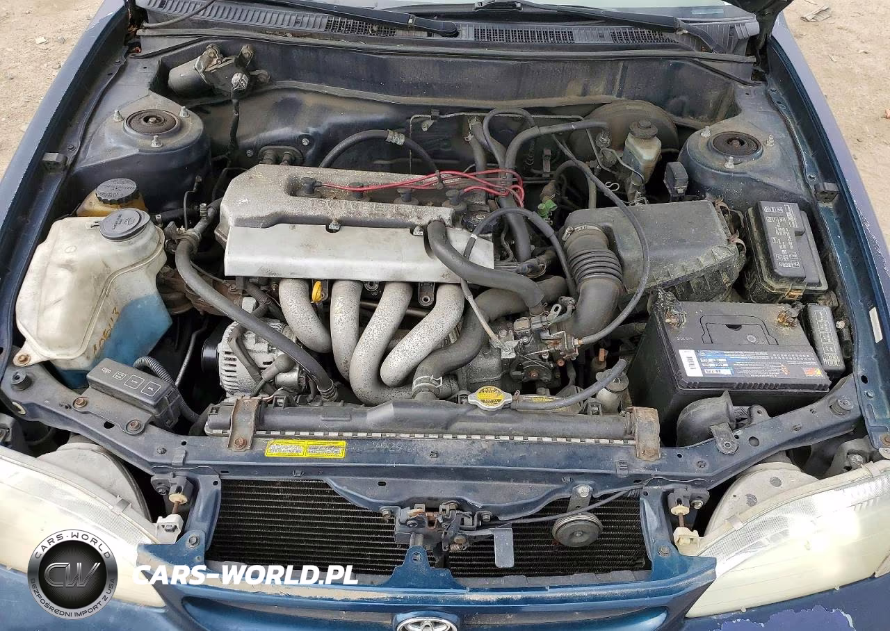 1999 Toyota Corolla Ve VIN:2T1BR12E6XC249318 - 11