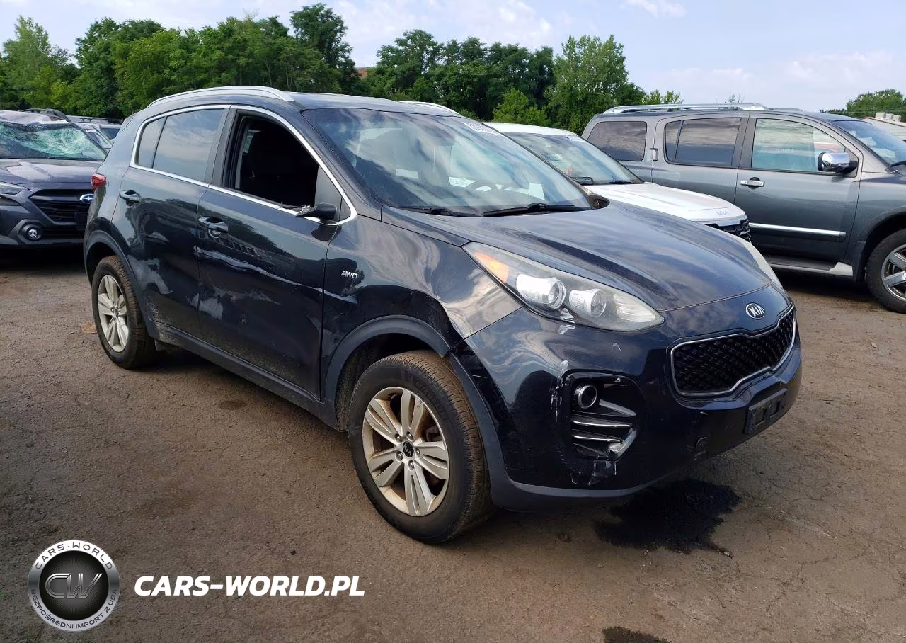 2017 Kia Sportage Lx VIN:KNDPMCAC0H7085938 - 4