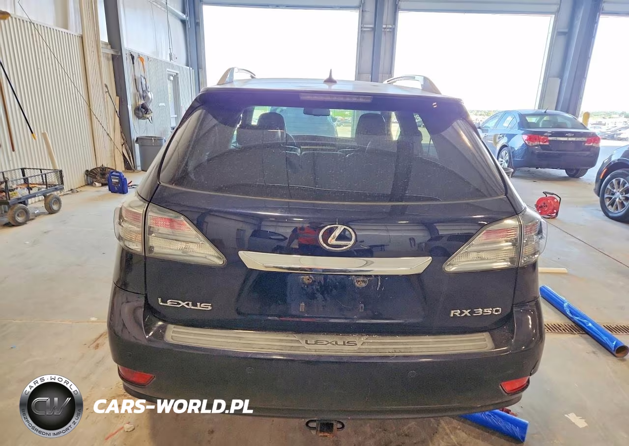 2010 Lexus Rx 350 VIN:2T2BK1BA1AC004687 - 6