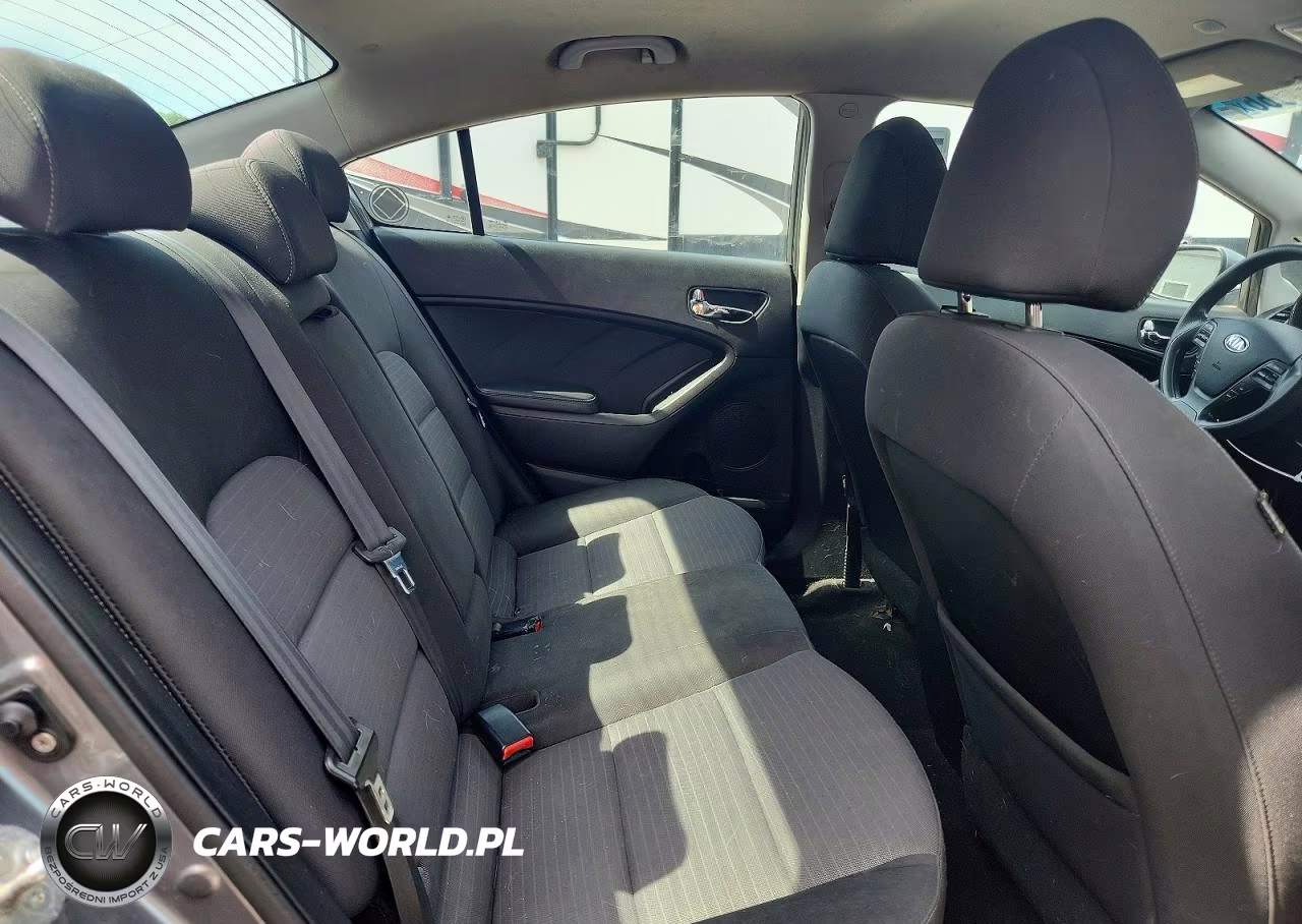 2016 Kia Forte Lx VIN:KNAFX4A6XG5508843 - 10