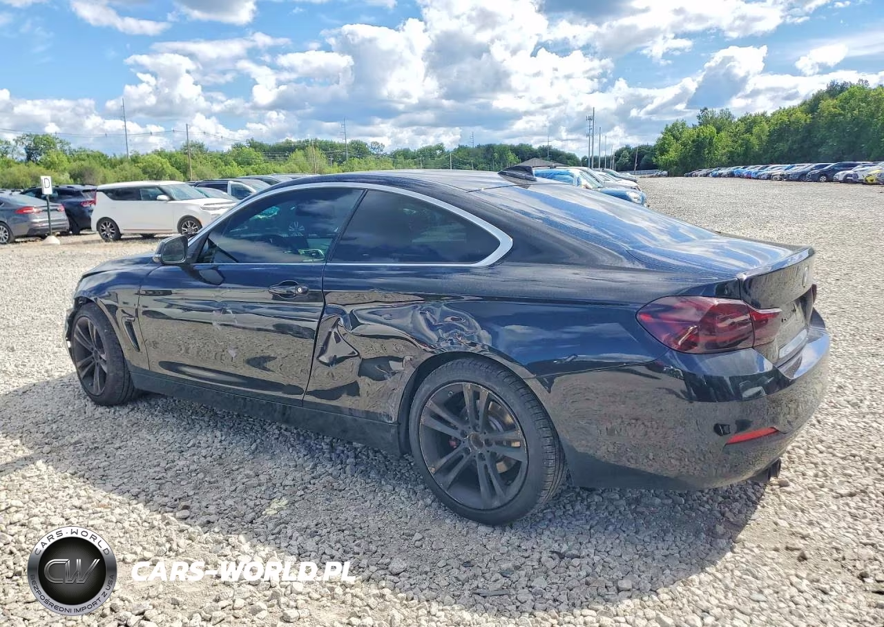 2020 BMW 430Xi VIN:WBA4W5C01LFH22717 - 2