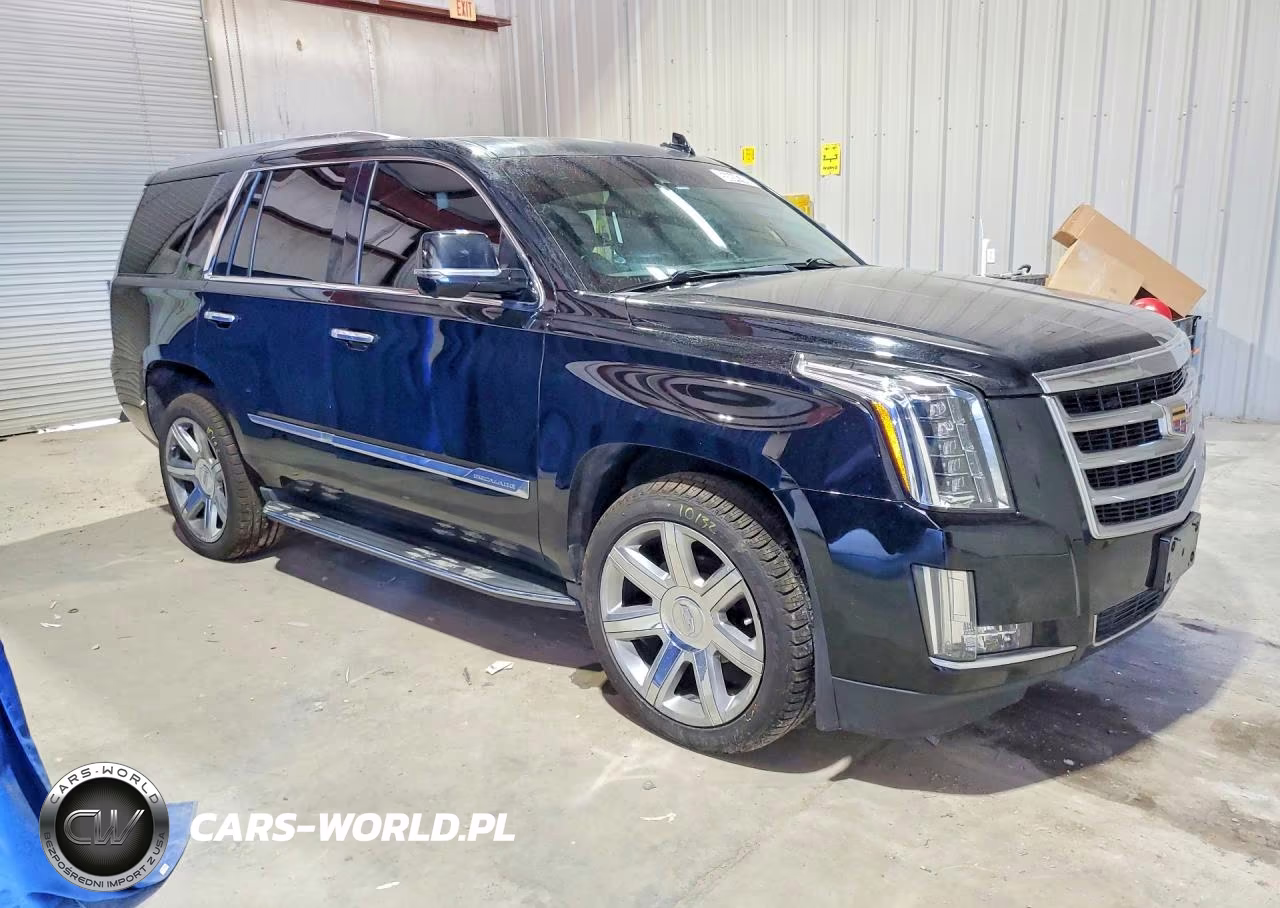 2016 Cadillac Escalade Luxury VIN:1GYS4BKJ0GR168378 - 4