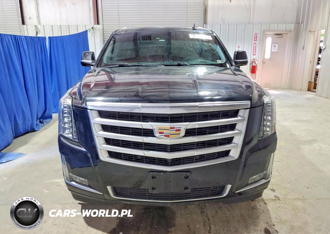 2016 Cadillac Escalade Luxury VIN:1GYS4BKJ0GR168378 - 5