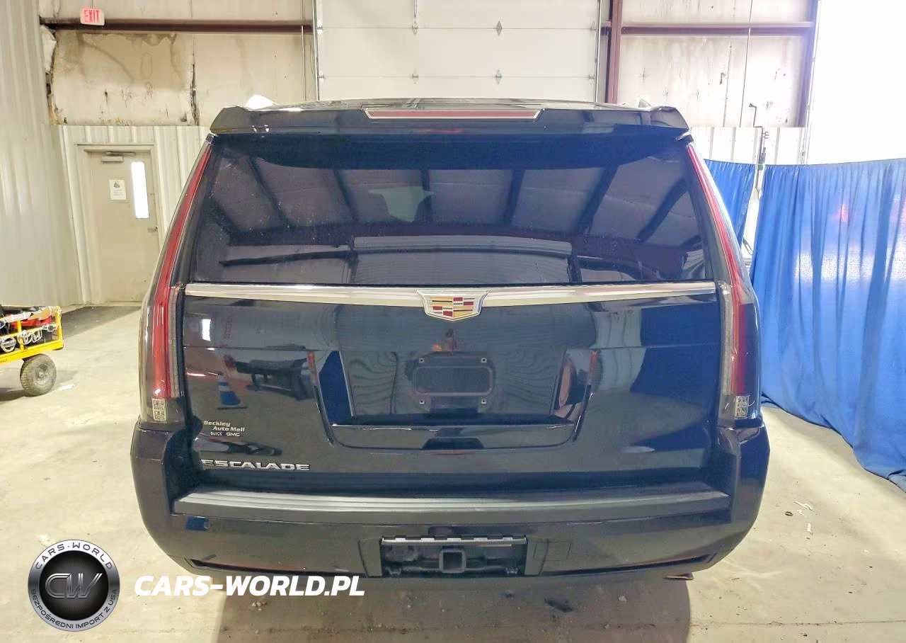 2016 Cadillac Escalade Luxury VIN:1GYS4BKJ0GR168378 - 6