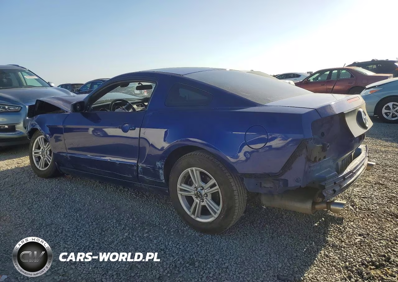 2014 Ford Mustang VIN:1ZVBP8AM9E5275233 - 2