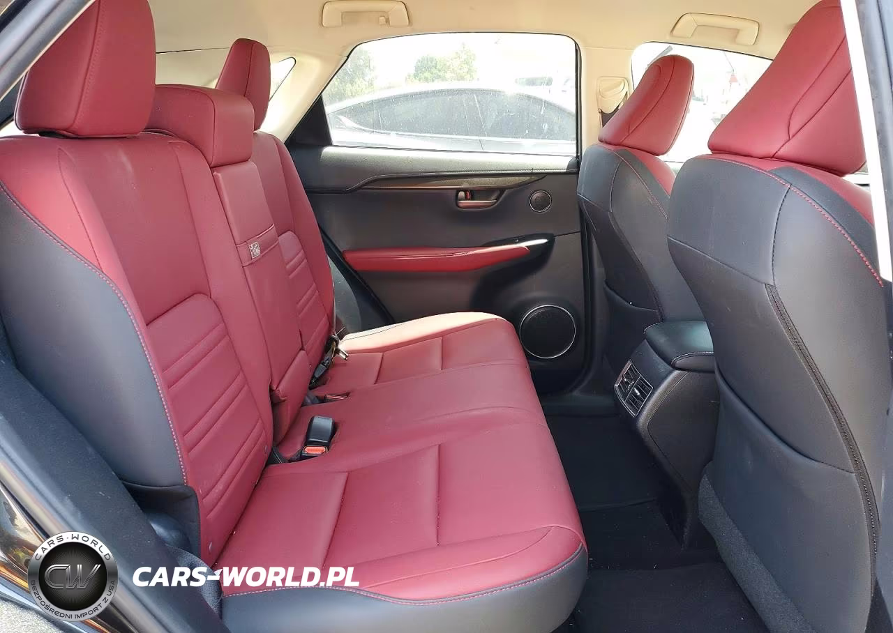 2021 Lexus Nx 300 Base VIN:JTJDARBZ0M2199010 - 11