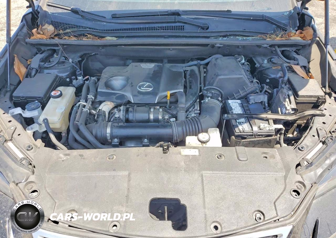 2021 Lexus Nx 300 Base VIN:JTJDARBZ0M2199010 - 12