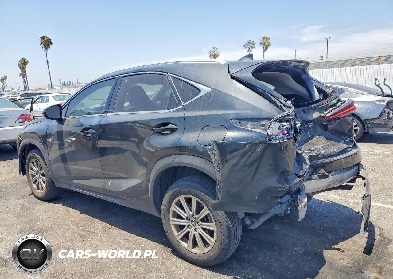 2021 Lexus Nx 300 Base VIN:JTJDARBZ0M2199010 - 2