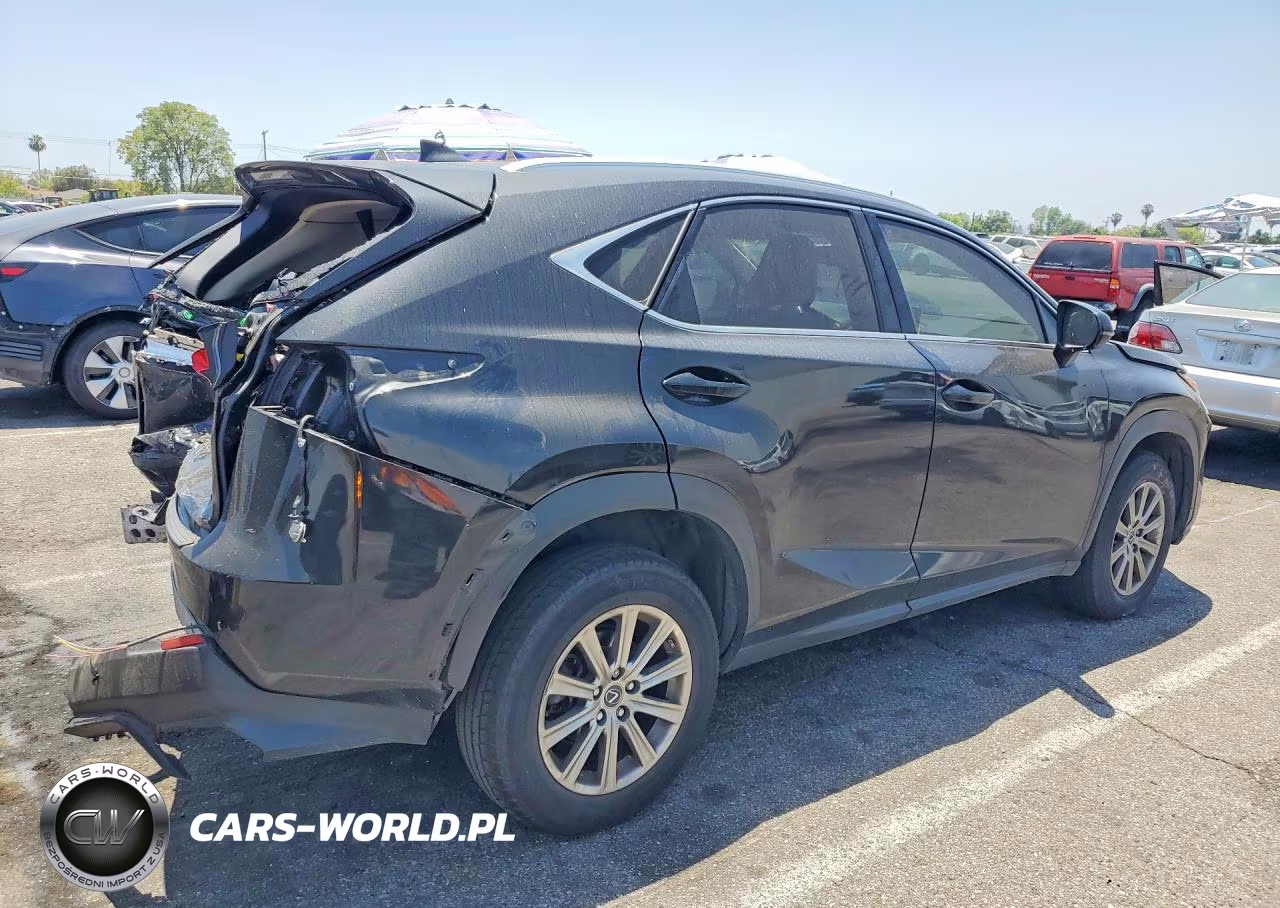 2021 Lexus Nx 300 Base VIN:JTJDARBZ0M2199010 - 3
