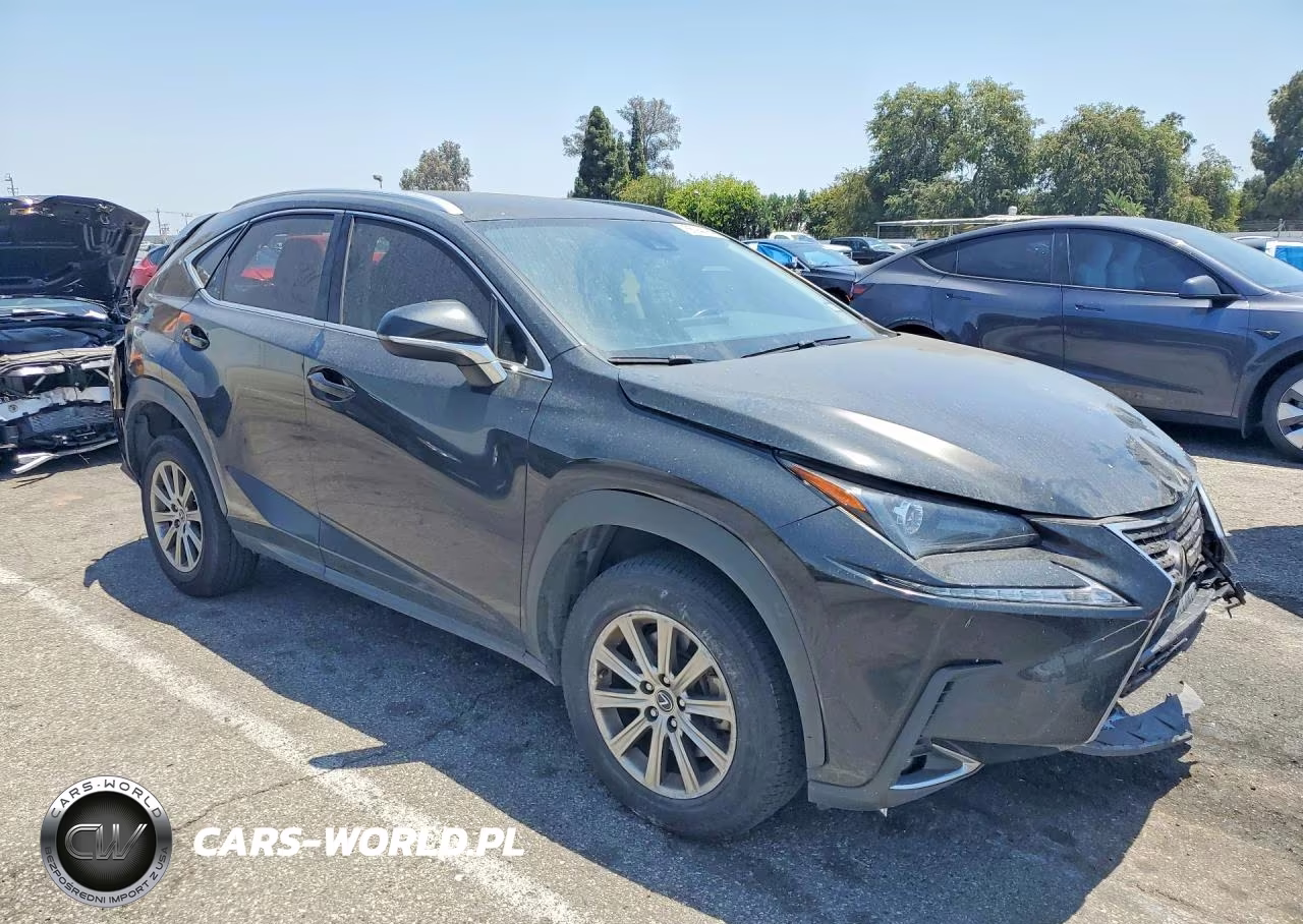 2021 Lexus Nx 300 Base VIN:JTJDARBZ0M2199010 - 4