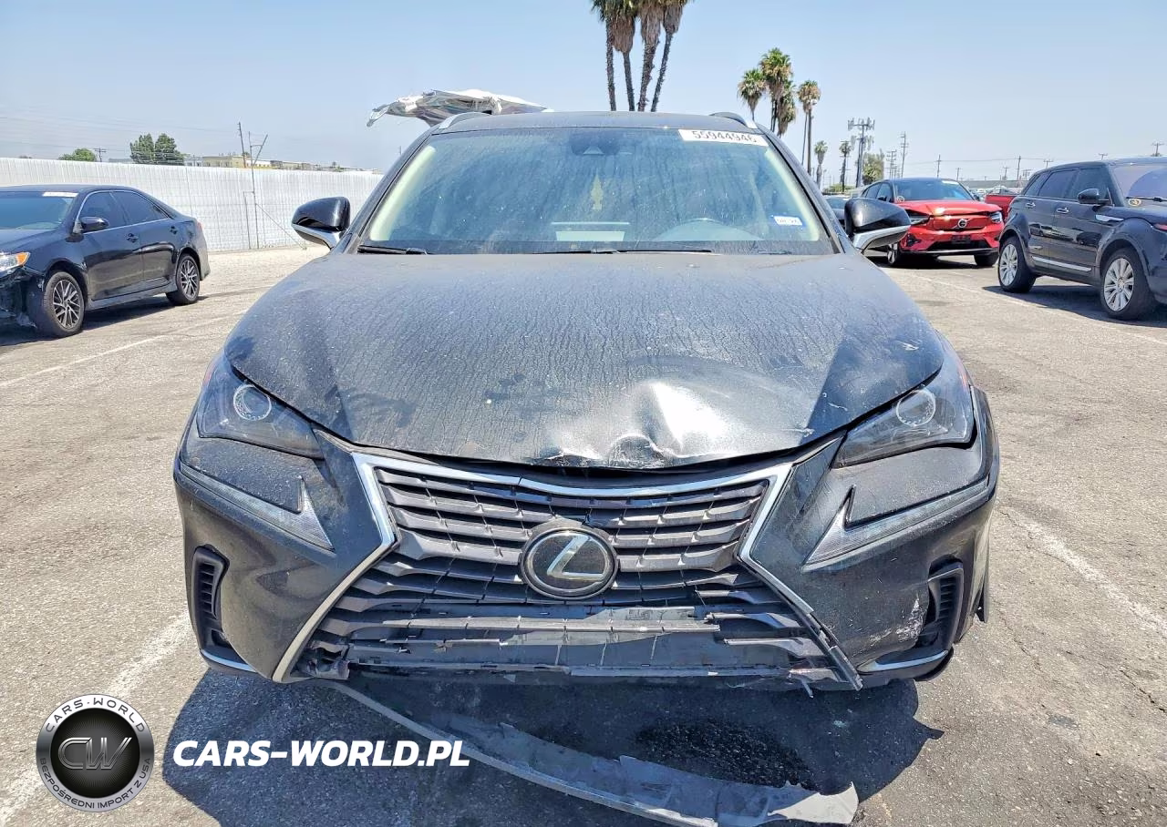 2021 Lexus Nx 300 Base VIN:JTJDARBZ0M2199010 - 5