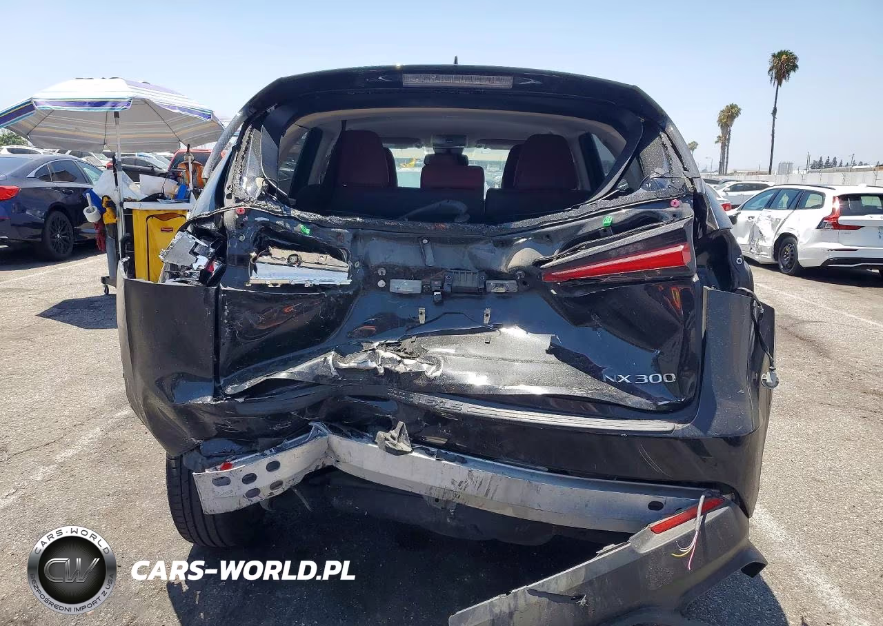 2021 Lexus Nx 300 Base VIN:JTJDARBZ0M2199010 - 6