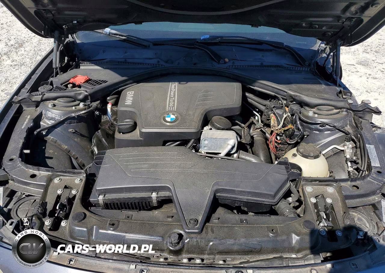 2013 BMW 320 I VIN:WBA3B1C5XDK129276 - 11